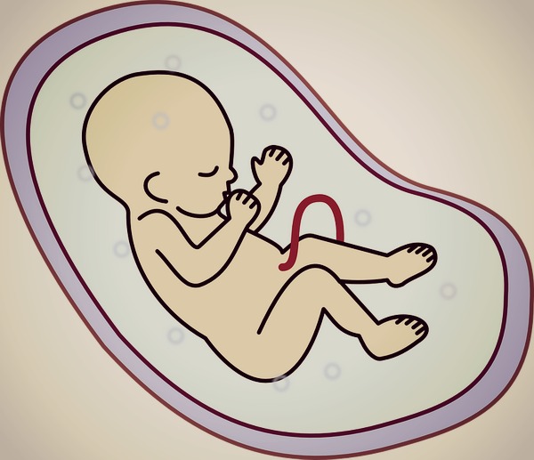 36 неделя беременности: предвестники родов у повторнородящих