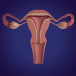 Показывает ли тест внематочную беременность на ранних сроках