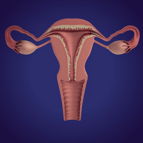 Показывает ли тест внематочную беременность на ранних сроках